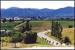 HIGHLIGHT WINE TOURS -  Blenheim