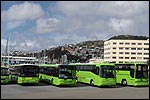 NEWLANDS COACH SERVICE - Wellington and North Island