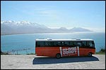 STRAY BUS - New Zealand