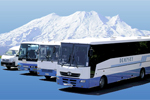 DEMPSEY BUSES - Raetihi