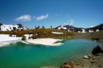 DISCOVERY LODGE SHUTTLES - Whakapapa