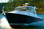 KAWAU CRUISES - Sandspit, Auckland